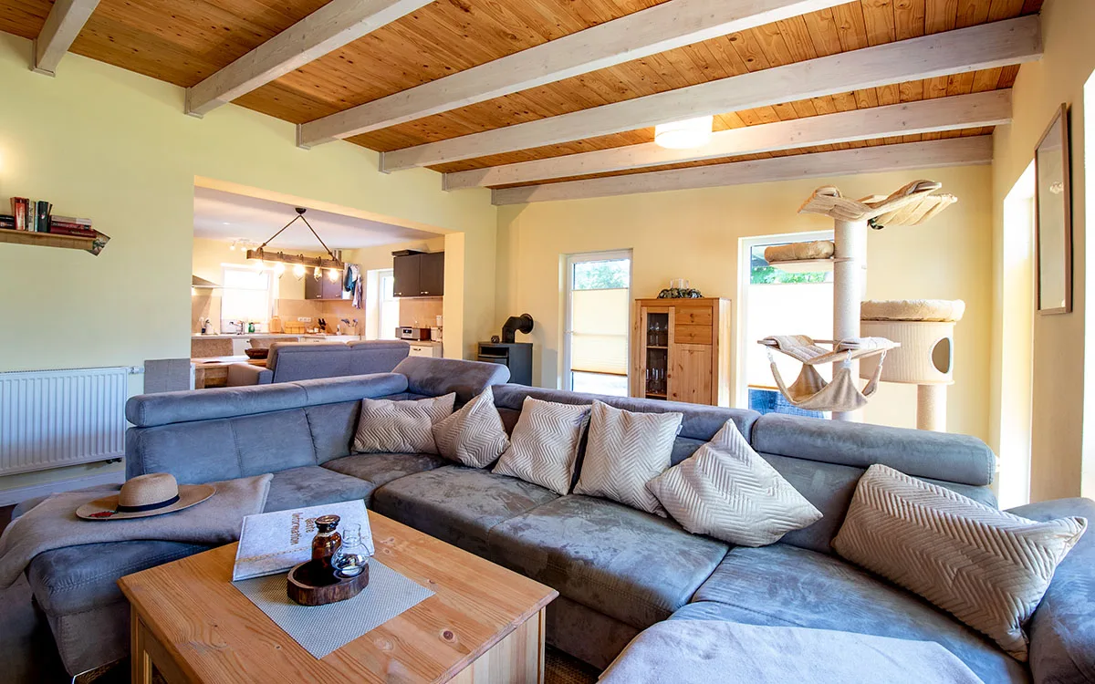 GROßER KATER Wohnzimmer