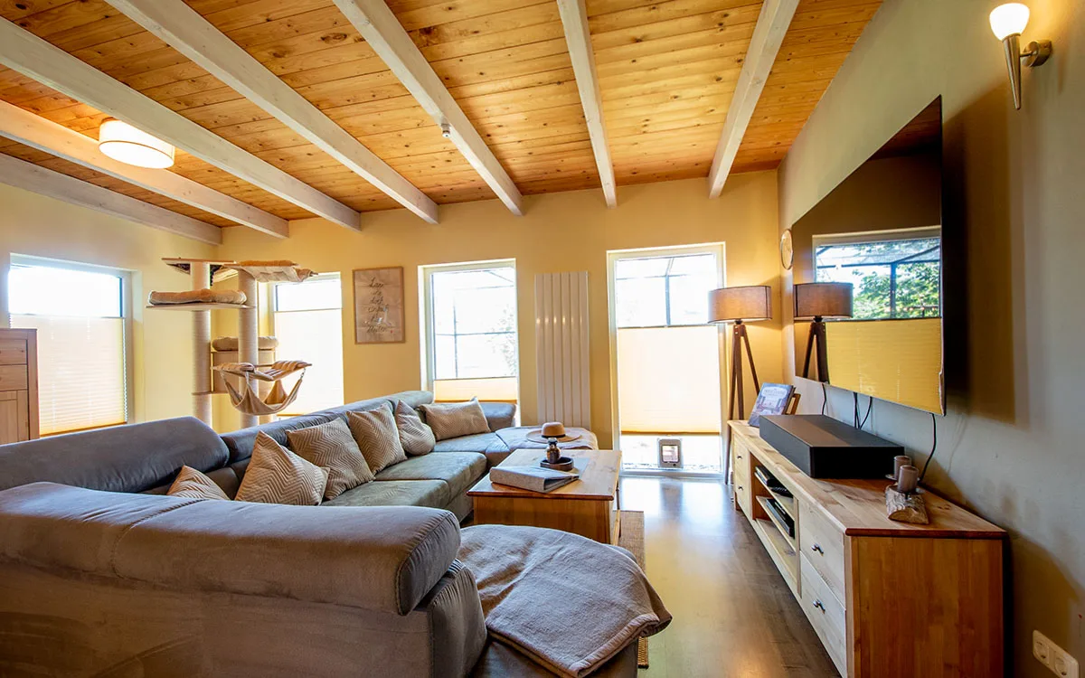 Großer Kater - Wohnzimmer