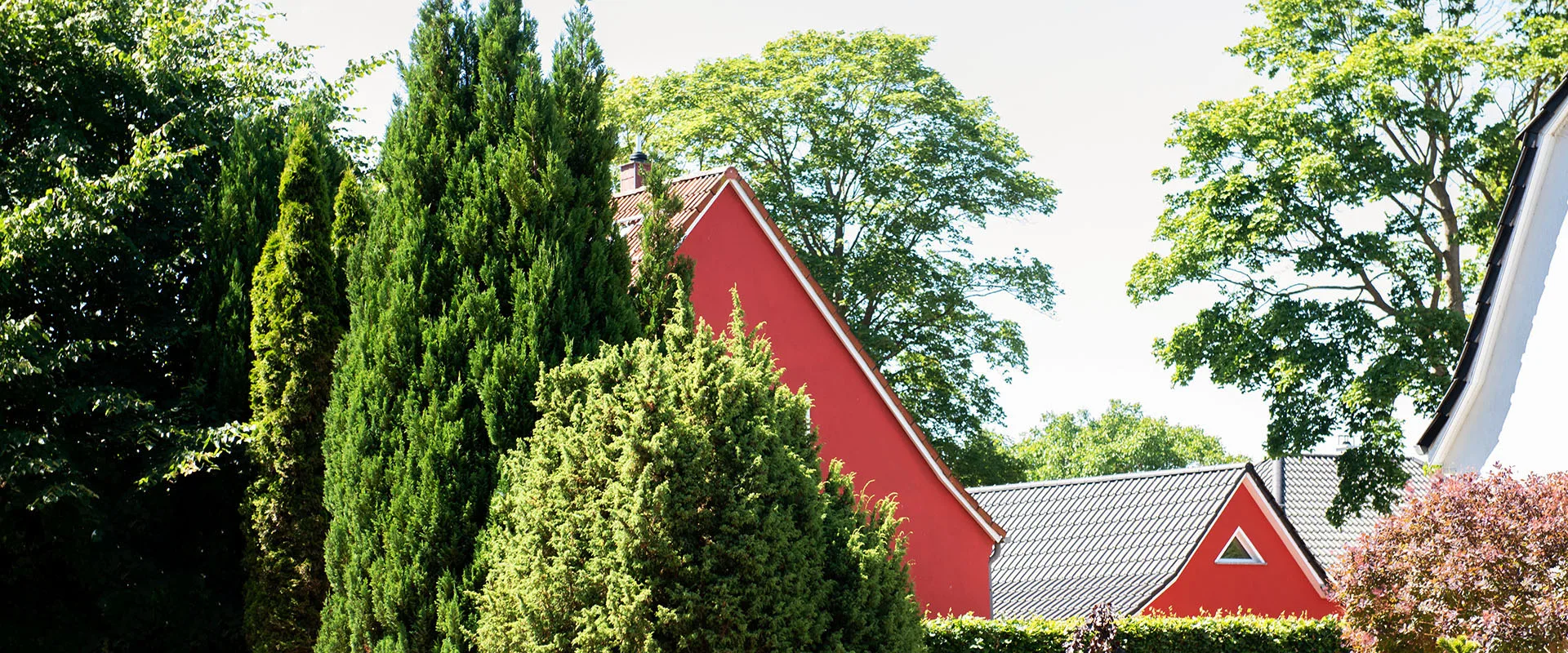 Strandtiger_Ferienobjekt-Breege