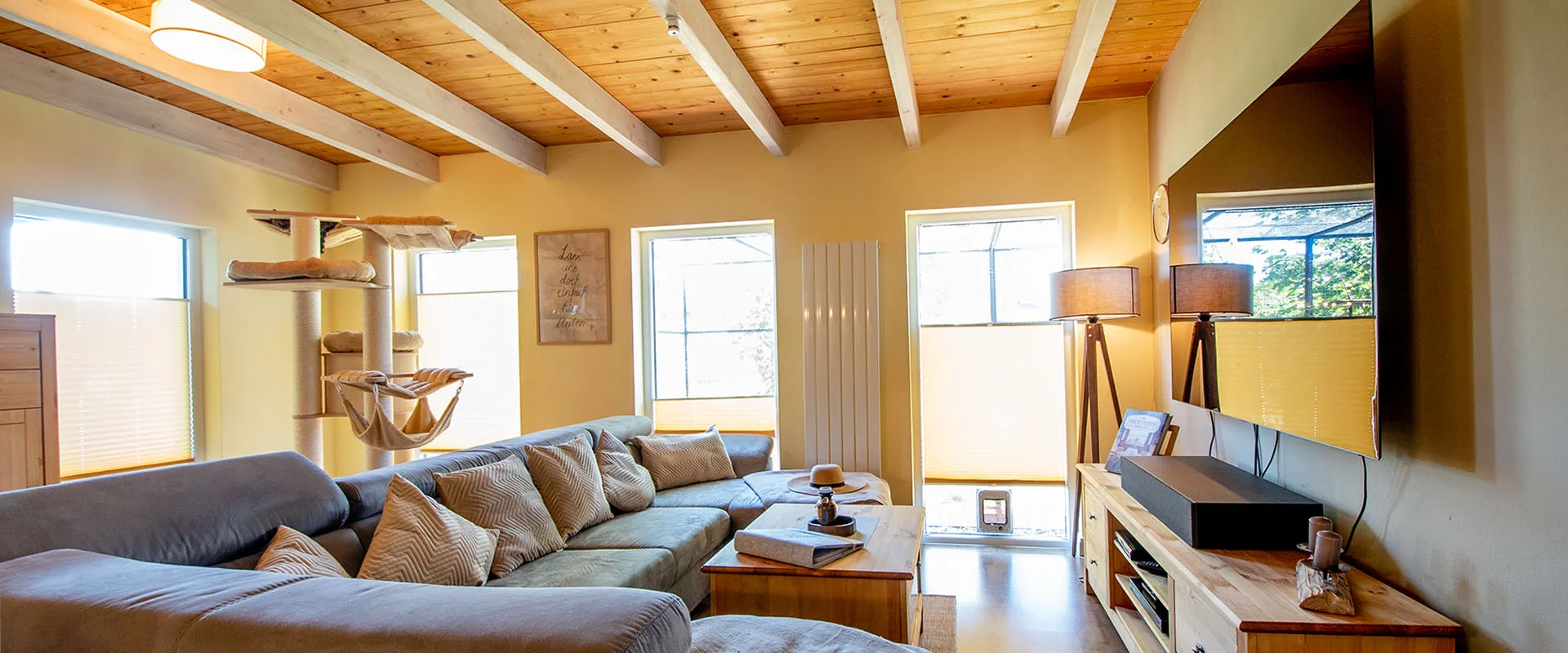 Großer Kater - Wohnzimmer