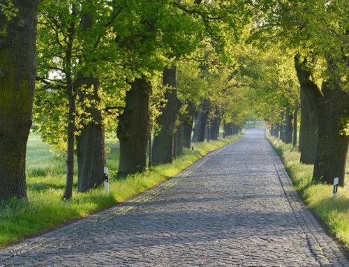 Die Schönheit Rügens entdecken