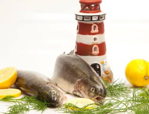 Kulinarisches Rügen